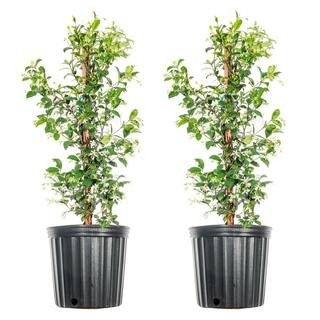 Hover Image to Zoom | The Home Depot