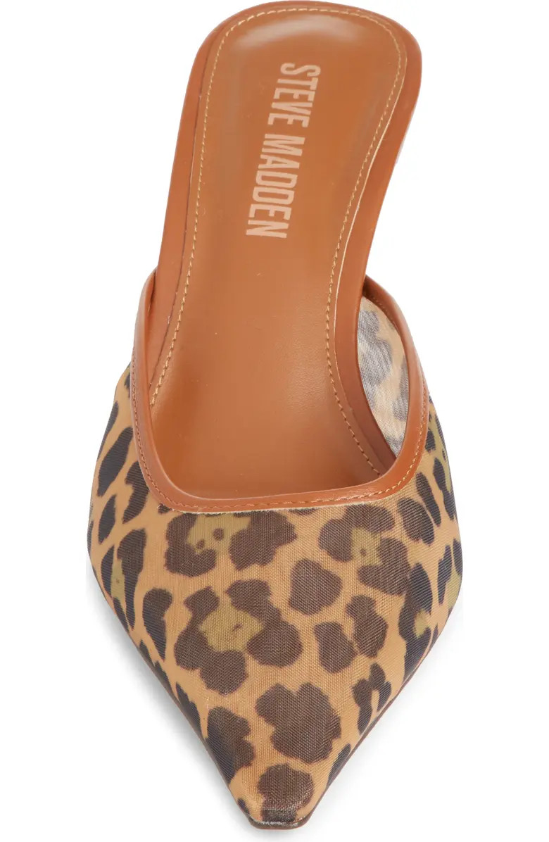 Steve Madden Lisbeth Pointed Toe Mule (Women) | Nordstrom | Nordstrom