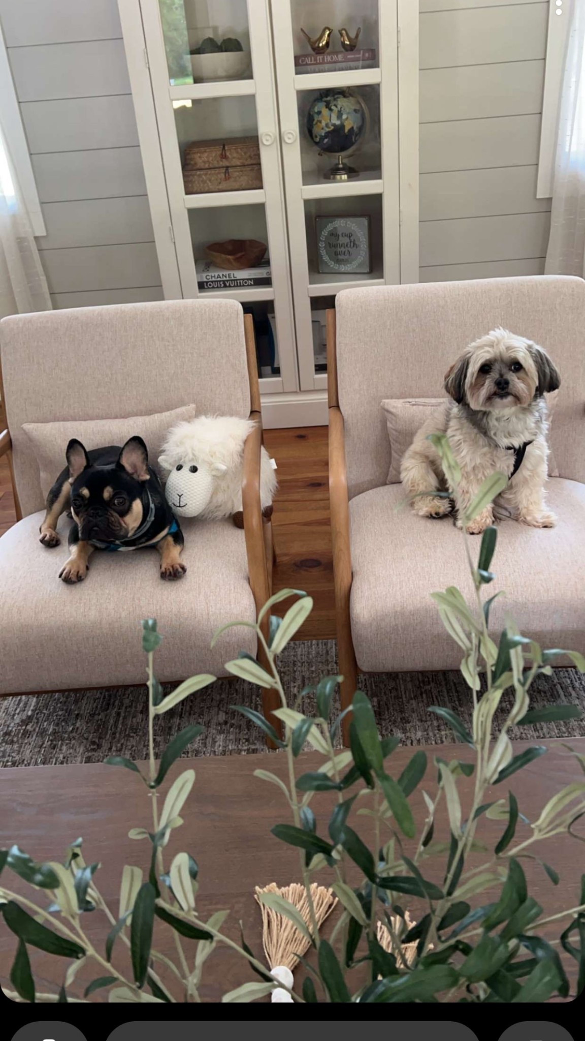 Wayfair major sale!! Home finds

#LTKSpringSale #LTKSaleAlert #LTKHome