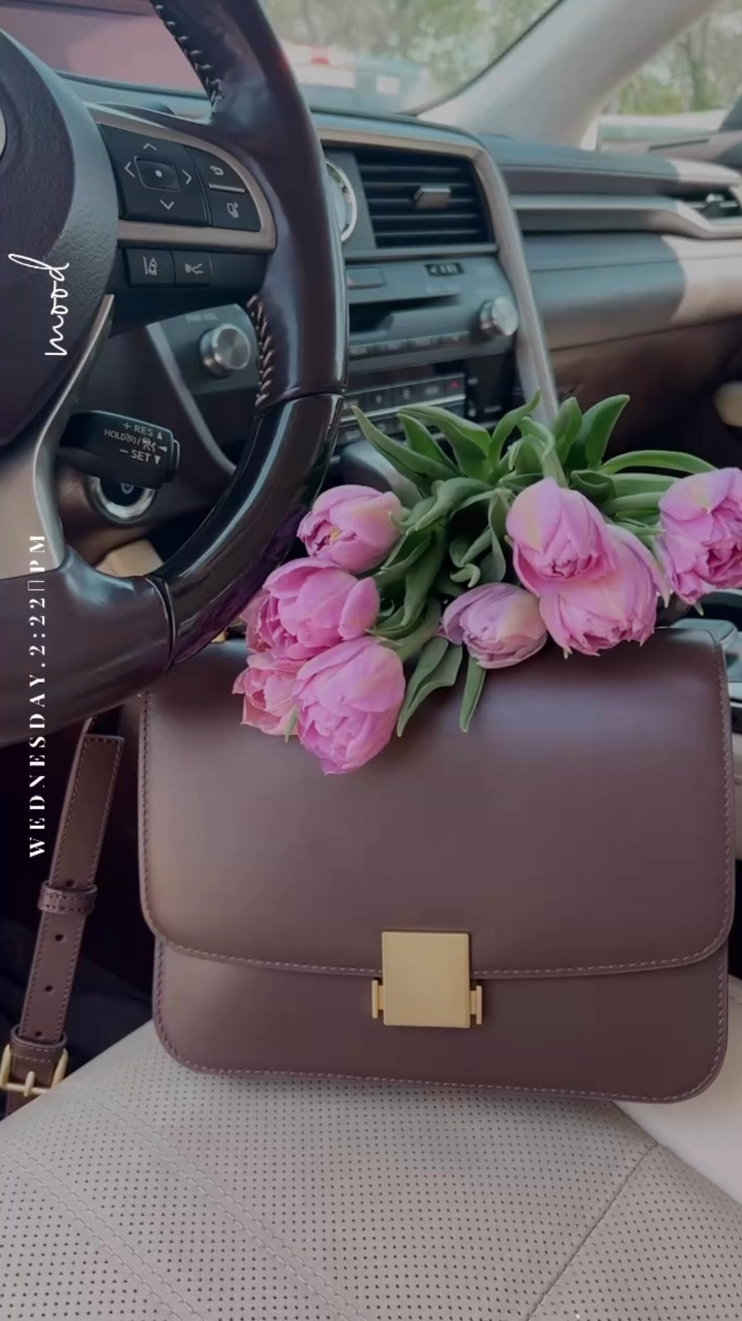 ~ she is beautiful 🤩 ~ 

#LTKU