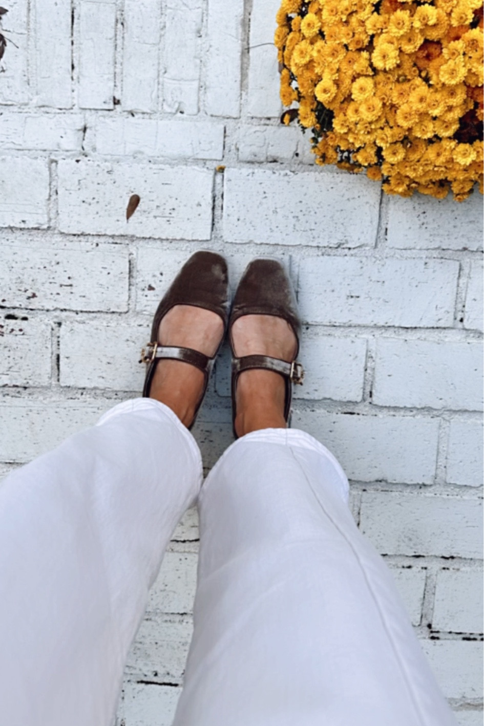 New velvet ballet flats

#LTKShoeCrush #LTKSeasonal #LTKWorkwear