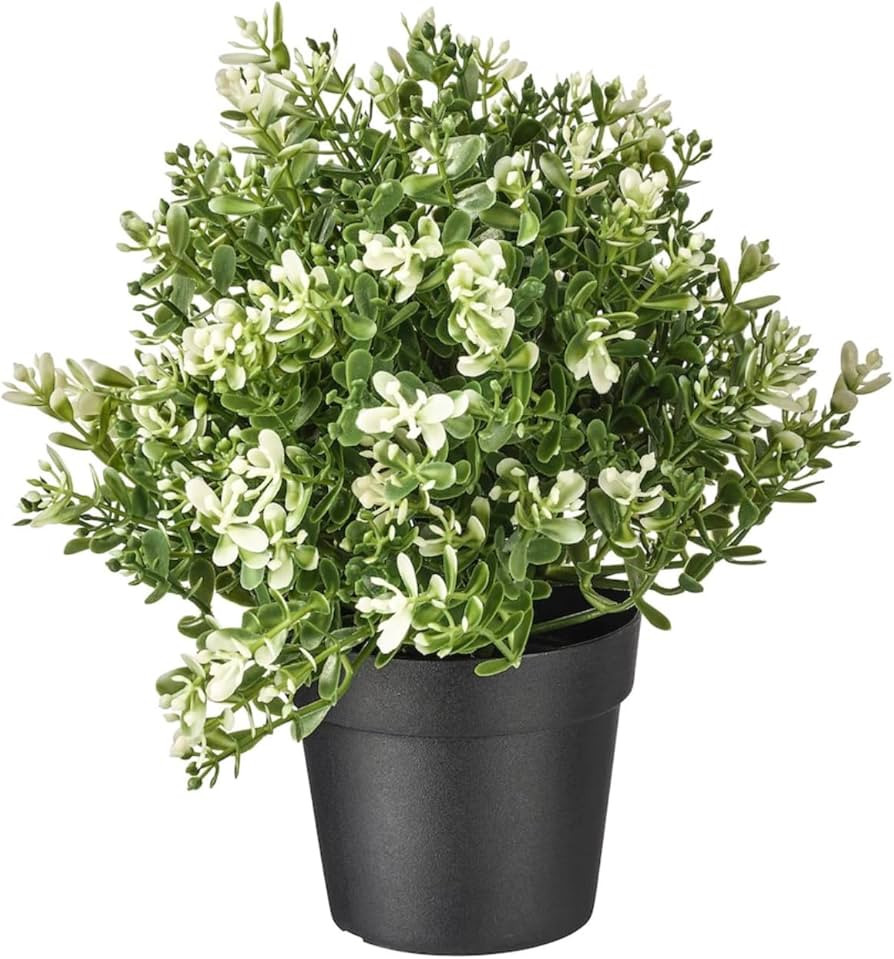 IKEA Artificial Potted Plant, Thyme, 9.5 Inch (1) | Amazon (US)