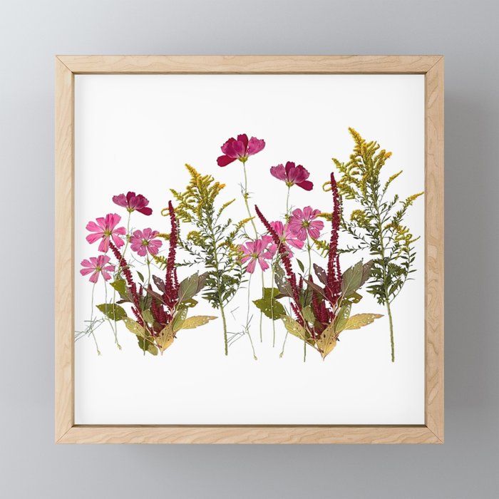 Pressed Dried Wild Flowers Framed Mini Art Print | Society6