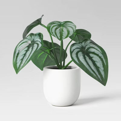 5.5" Mini Artificial Peperomia - Threshold™ | Target