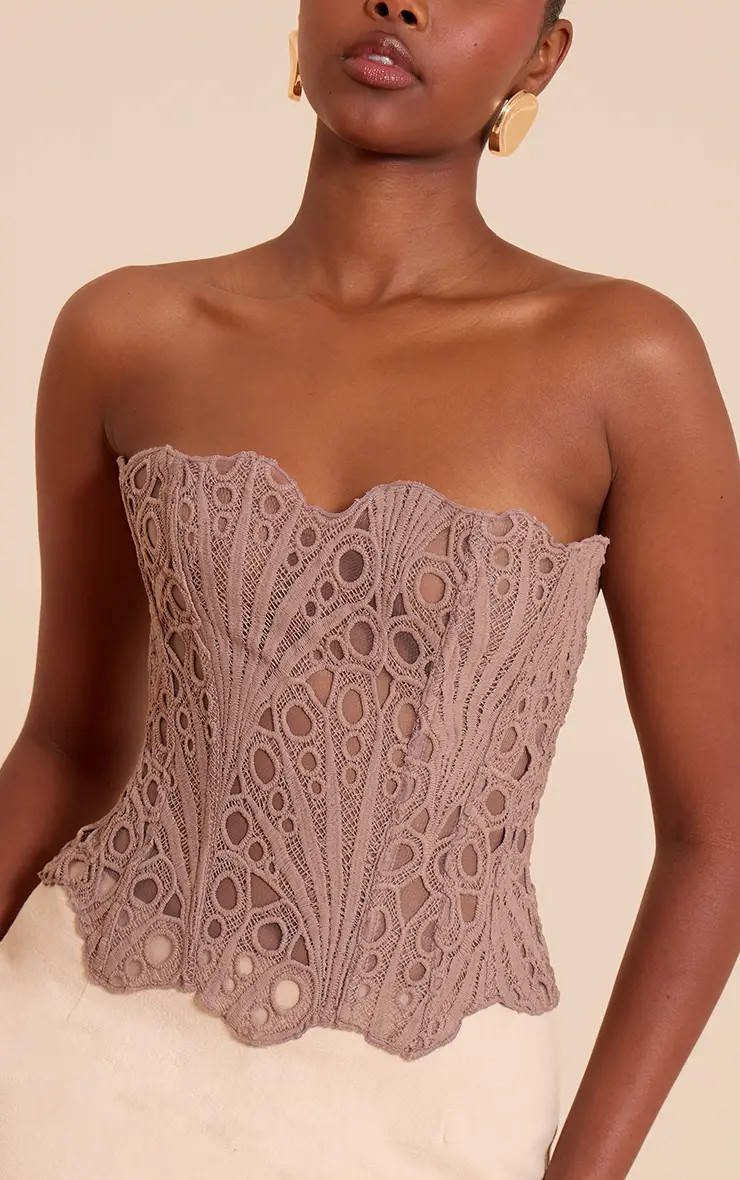 Purple Textured Sheer Floral Lace Corset | PrettyLittleThing US