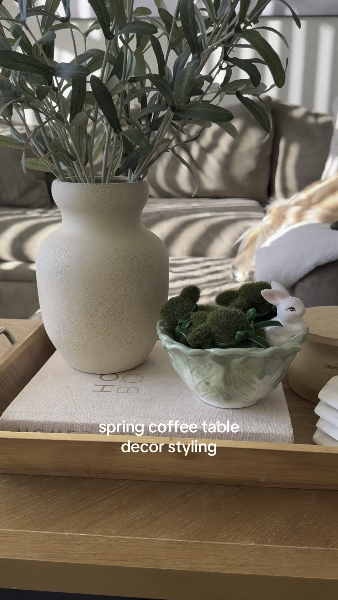 Spring coffee table decor styling 🌿✨ 

Here’s a cute coffee table styling idea using some Target Spring home finds and the most adorable Walmart bunnies! 🐰

I’ll link more of my Target and Walmart home finds below and some new Spring decor that I’m loving! 🌸

#LTKWatchNow #LTKHome #LTKSeasonal