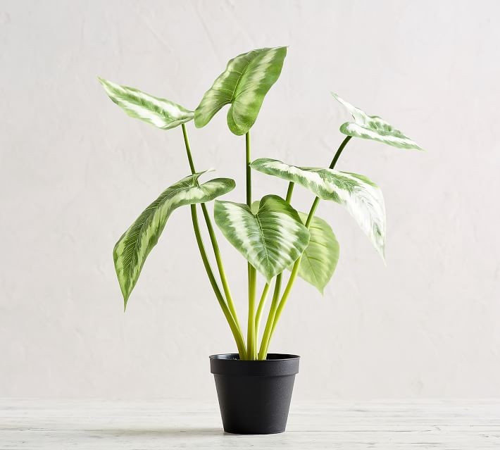 Macrame Cachepot Collection | Pottery Barn (US)