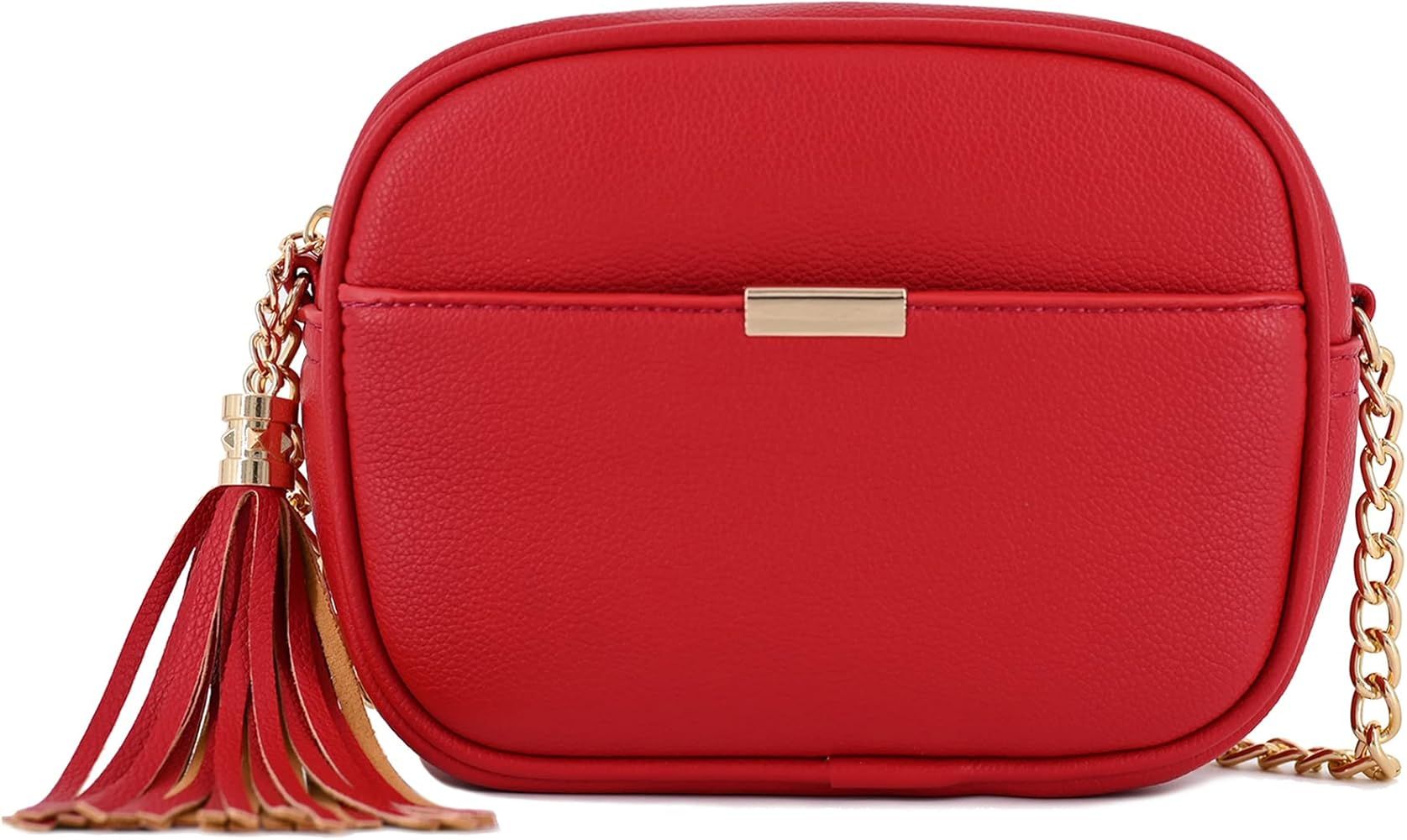 V+BENIE Tassel Small Crossbody Bag with Chain Strap Small Purse Handbags for Women | Amazon (US)
