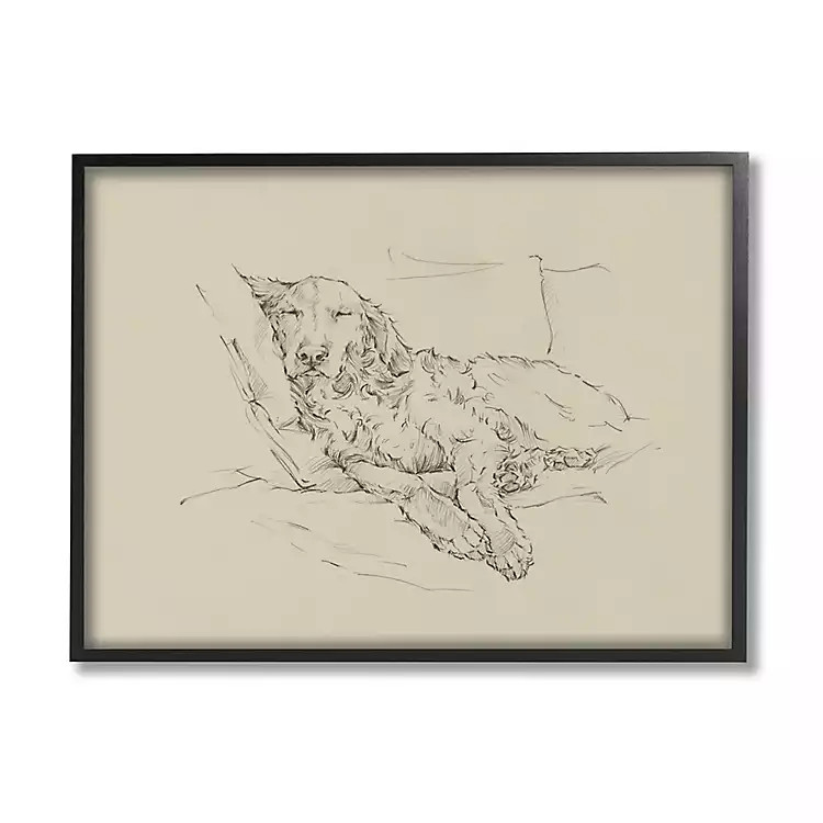 Fluffy Retriever Napping Dog Framed Canvas Print | Kirkland's Home
