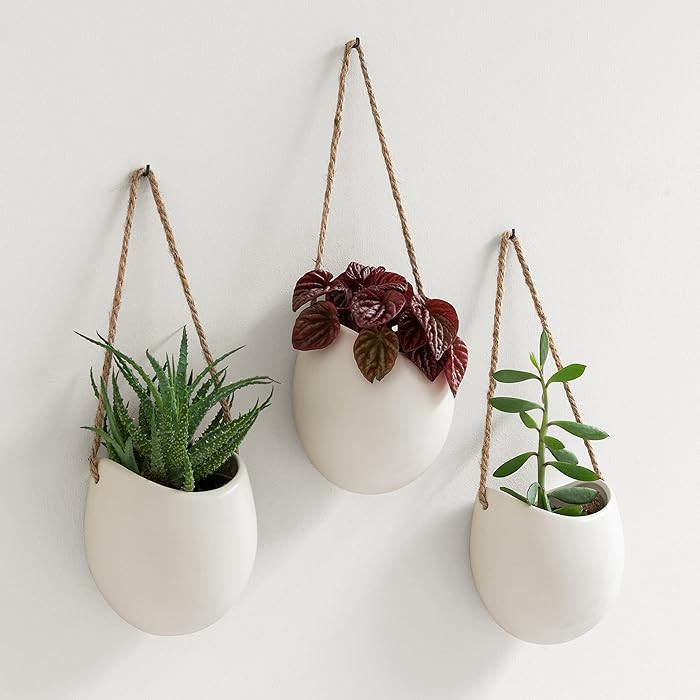 Kazai. Wall Planters -Ellie- | Hanging Ceramic Plant Pots 3 Pieces | Wall Decoration for Indoors,... | Amazon (US)
