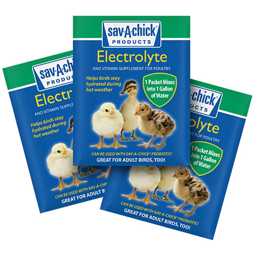 Sav-A-Chick 9 Pack of Electrolyte and Vitamin Supplement Strip for Poultry , Birds, Chickens, Duc... | Amazon (US)