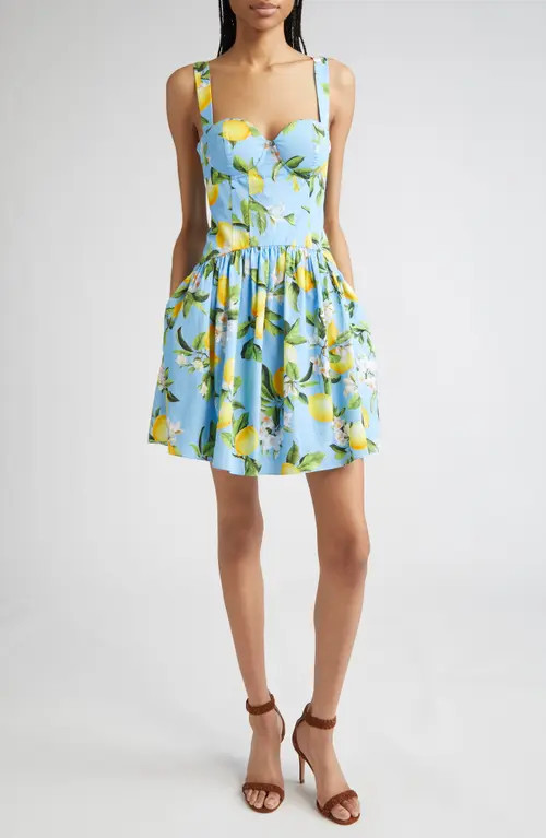 L'AGENCE Jai Lemon Print Corset Minidress in Sky Blue/Yellow Floral Lemon at Nordstrom, Size 0 | Nordstrom
