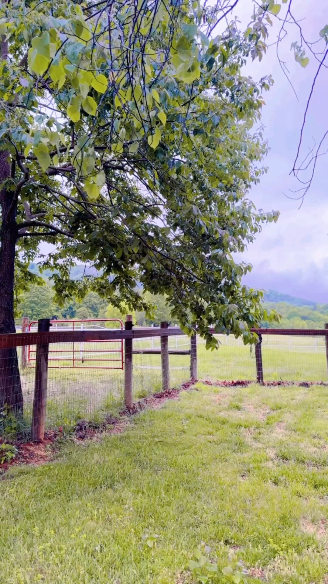 another beautiful rainy morning on the farm 🌧️☔️