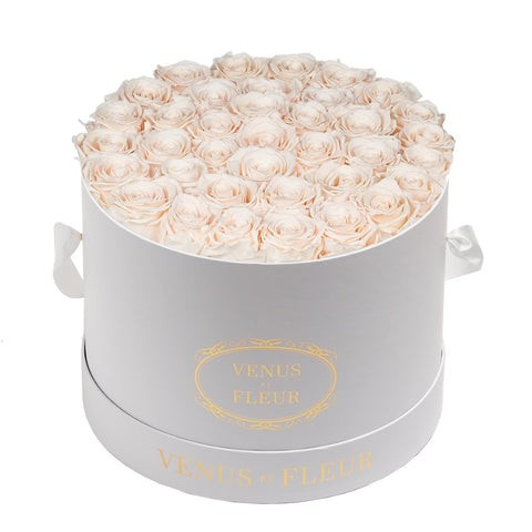 Large Round | Venus ET Fleur