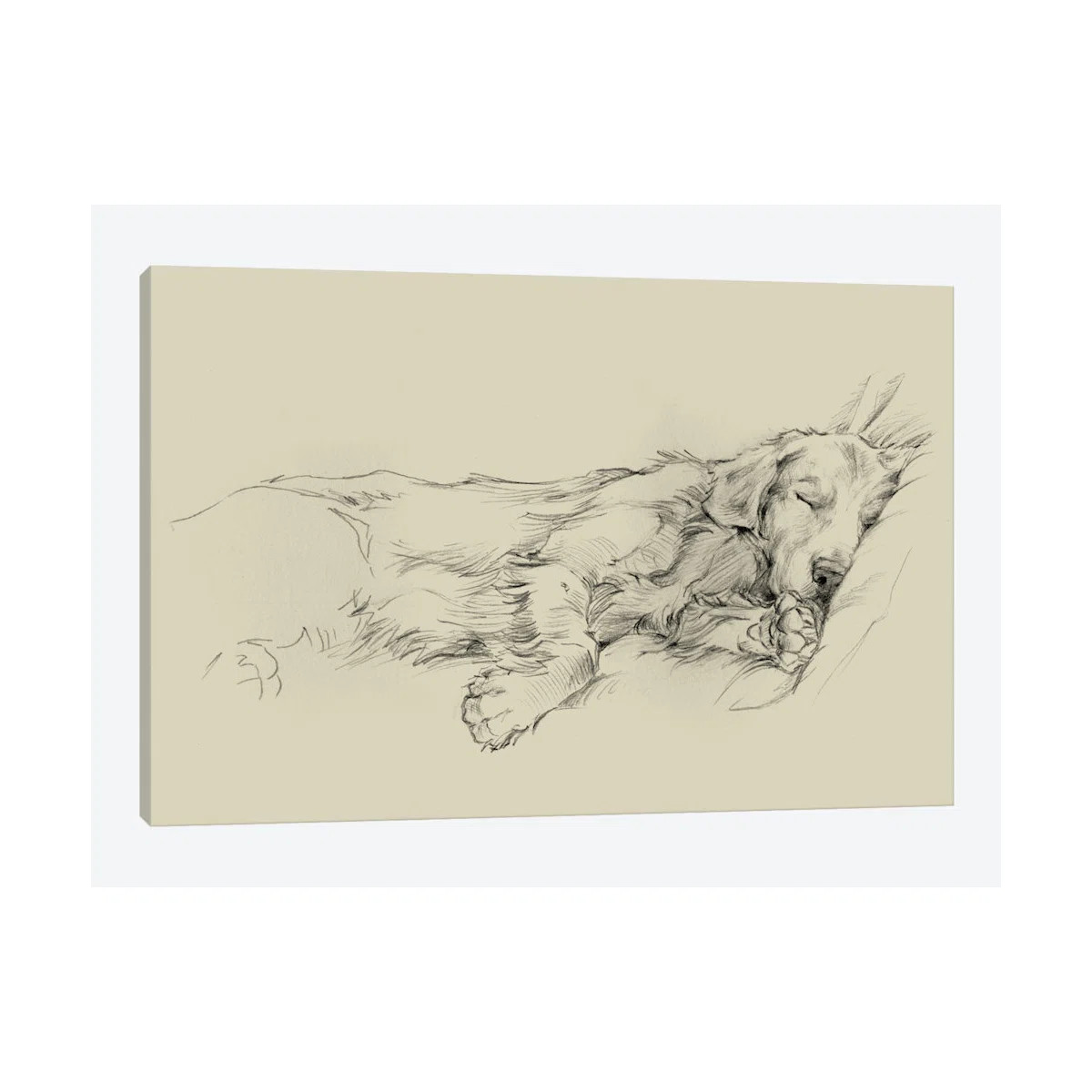 " Dog Days III " | Wayfair North America