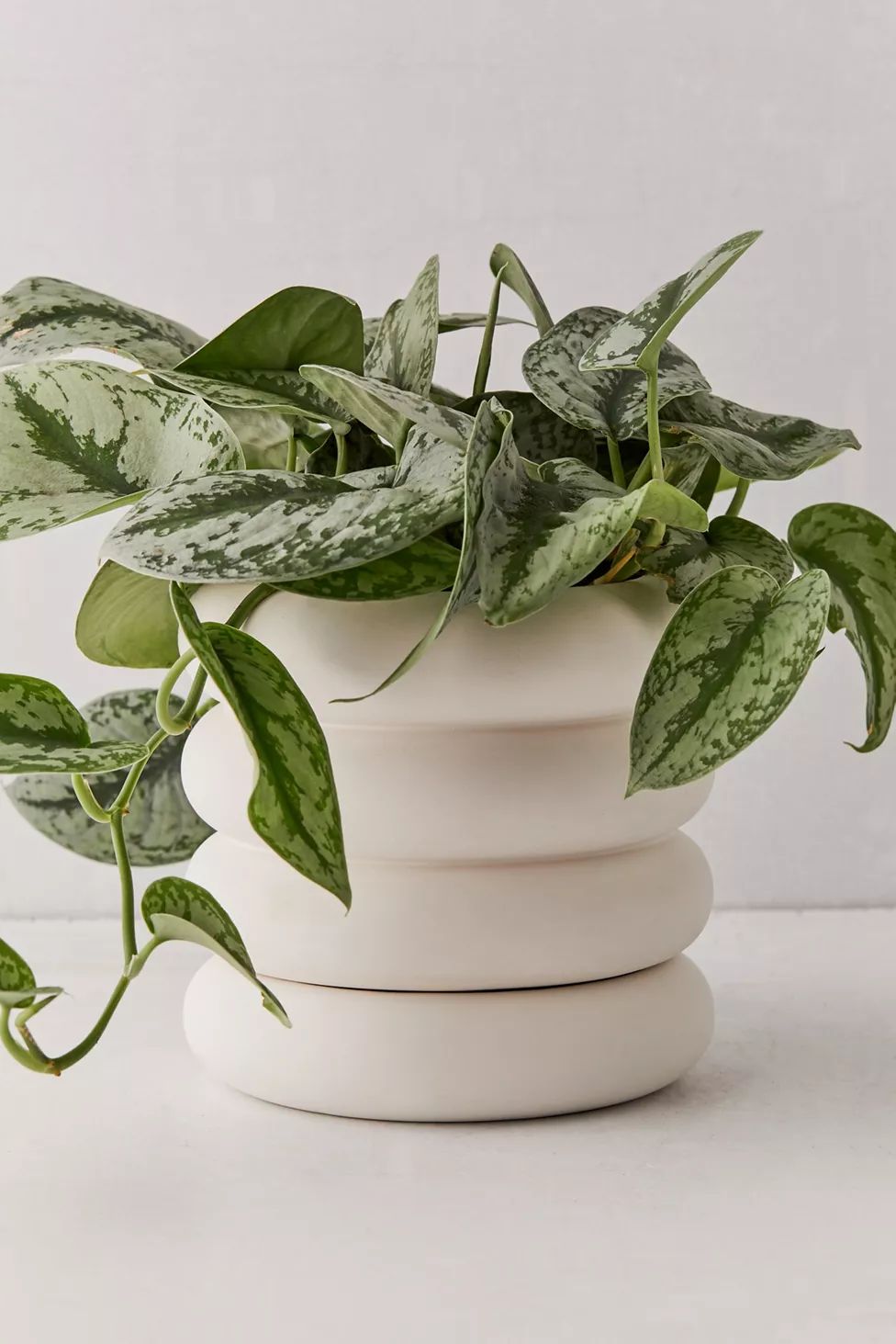 Areaware Tall Stacking Planter | Urban Outfitters (US and RoW)