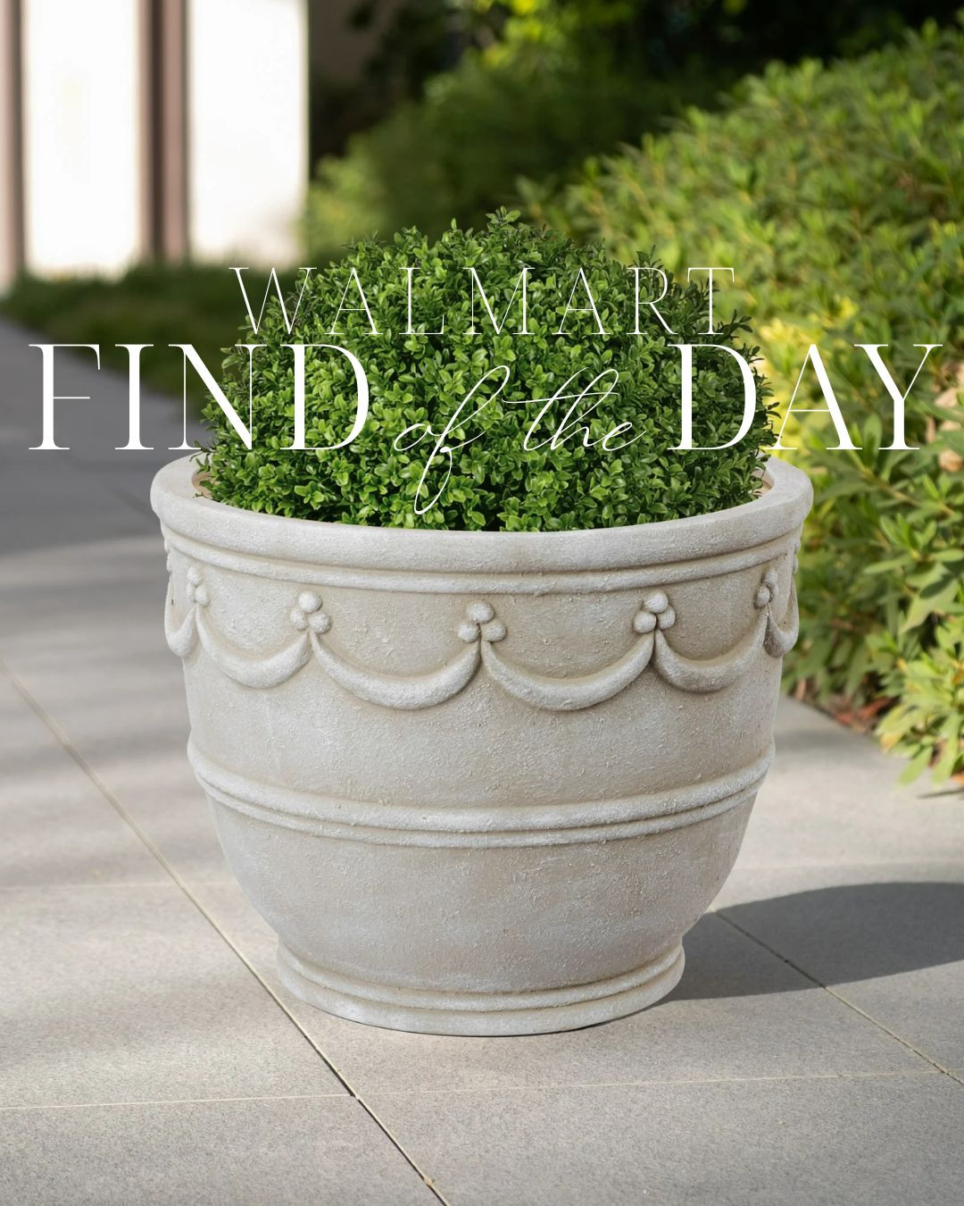 Walmart find of the day!

12" ceramic planter with wave embossed detailing! 

 #LTKHome