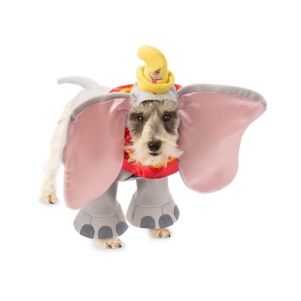 Rubie's Costume Company Dumbo Dog Costume | PetSmart