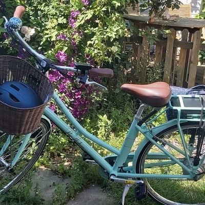 Sumerby E Pendleton Bike  | eBay | eBay UK