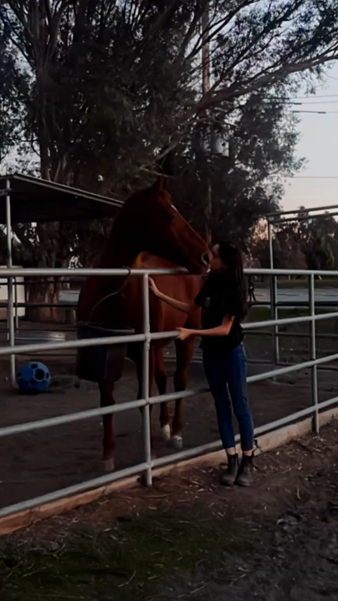Evenings at the barn are the best! 🙌🏻

Linking some of my favorite gifts for horse lovers! Tis’ the season! 

#giftguide #horselover #barnday 

#LTKdayinmylife #LTKHoliday #LTKGiftGuide