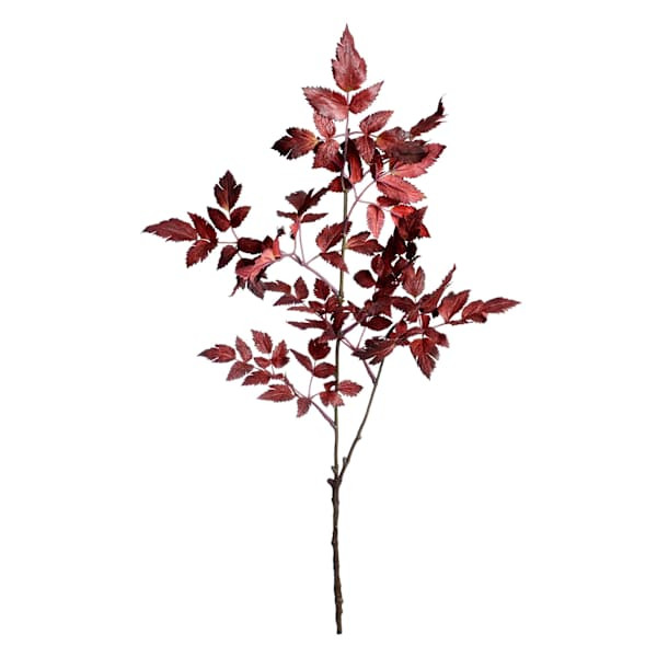 Brown Cimicifuga Leaves Stem, 28" | At Home