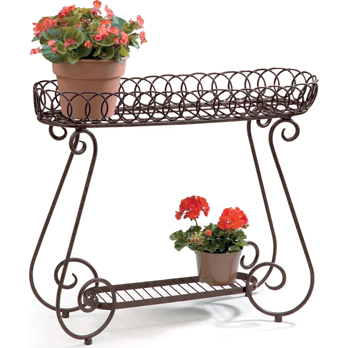 One Allium Way® Seaton Oval Ring Plant Stand & Reviews | Wayfair | Wayfair North America