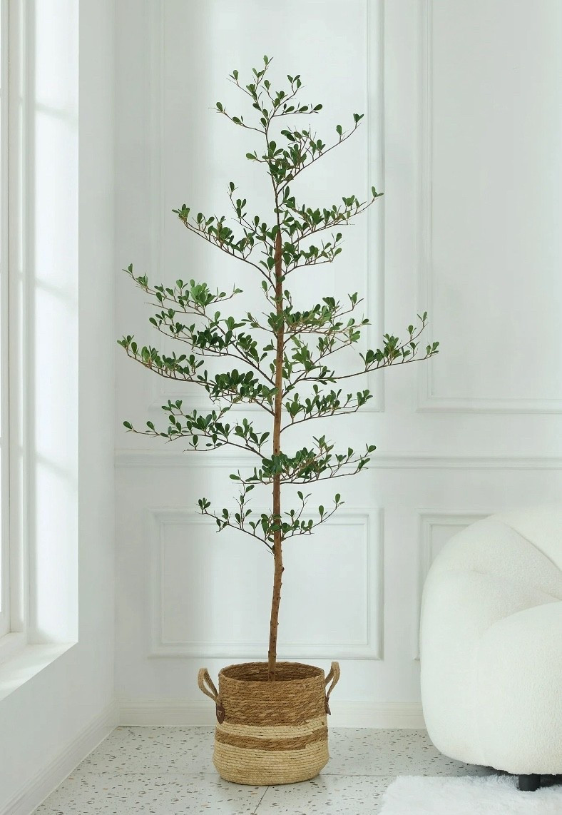 This tree is absolutely beautiful and the price is a steal!!