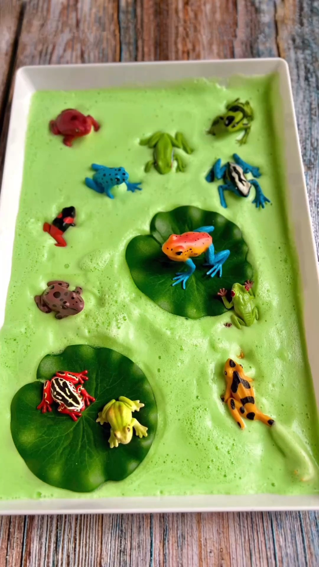 This Fluffy Frog Pond Is Actually Made From Chickpea Water!

#LTKhome #LTKkids #LTKfamily