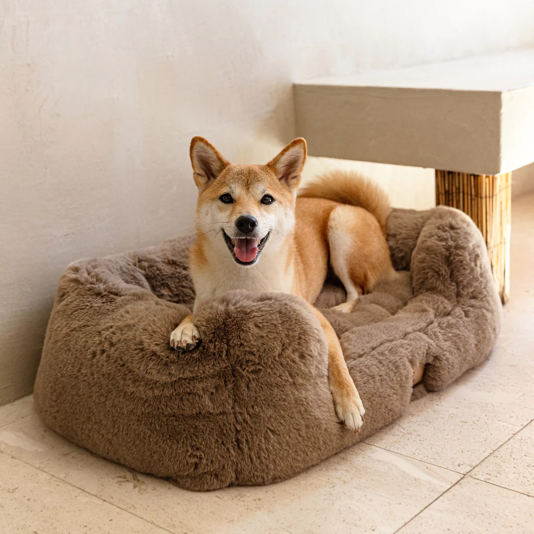 The Lola Pet Bed | Desert Dune | Lola Blankets