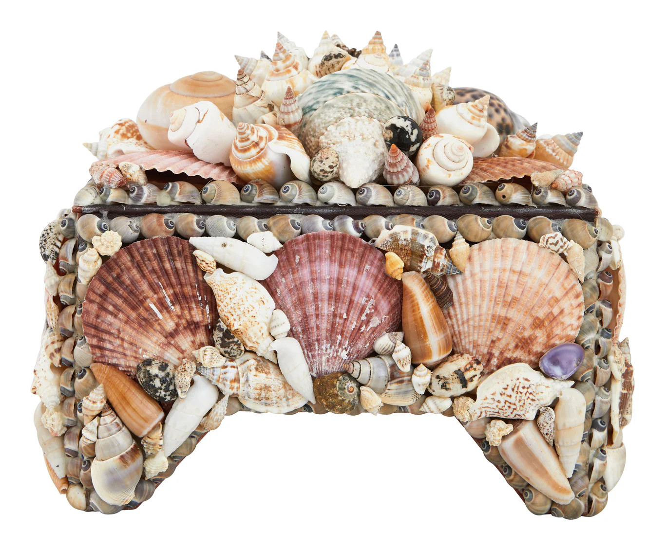 Large Shell Boxes | Jayson Home