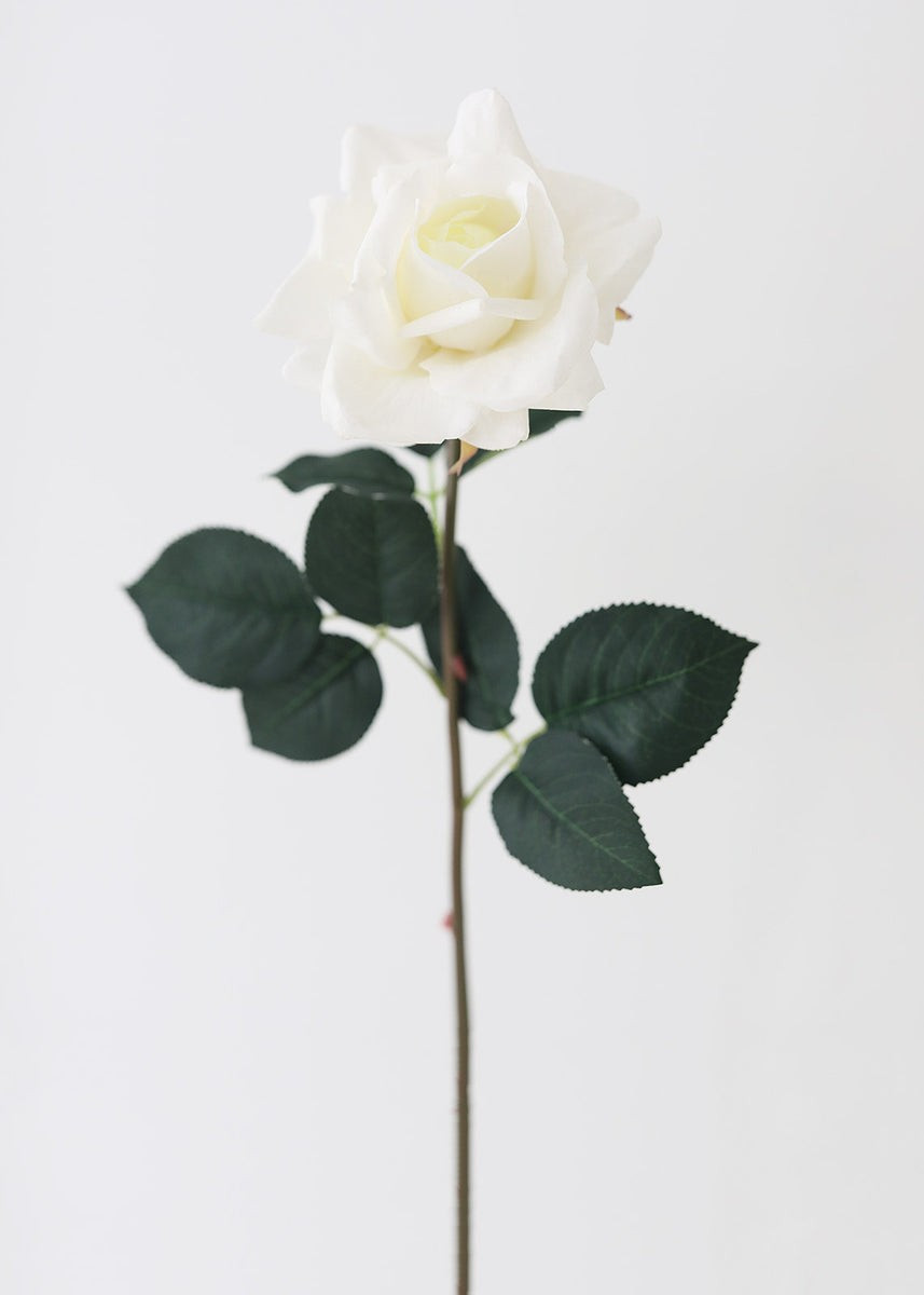 Cream Real Touch Rose Fake Flower - 20.5 | Afloral (US)