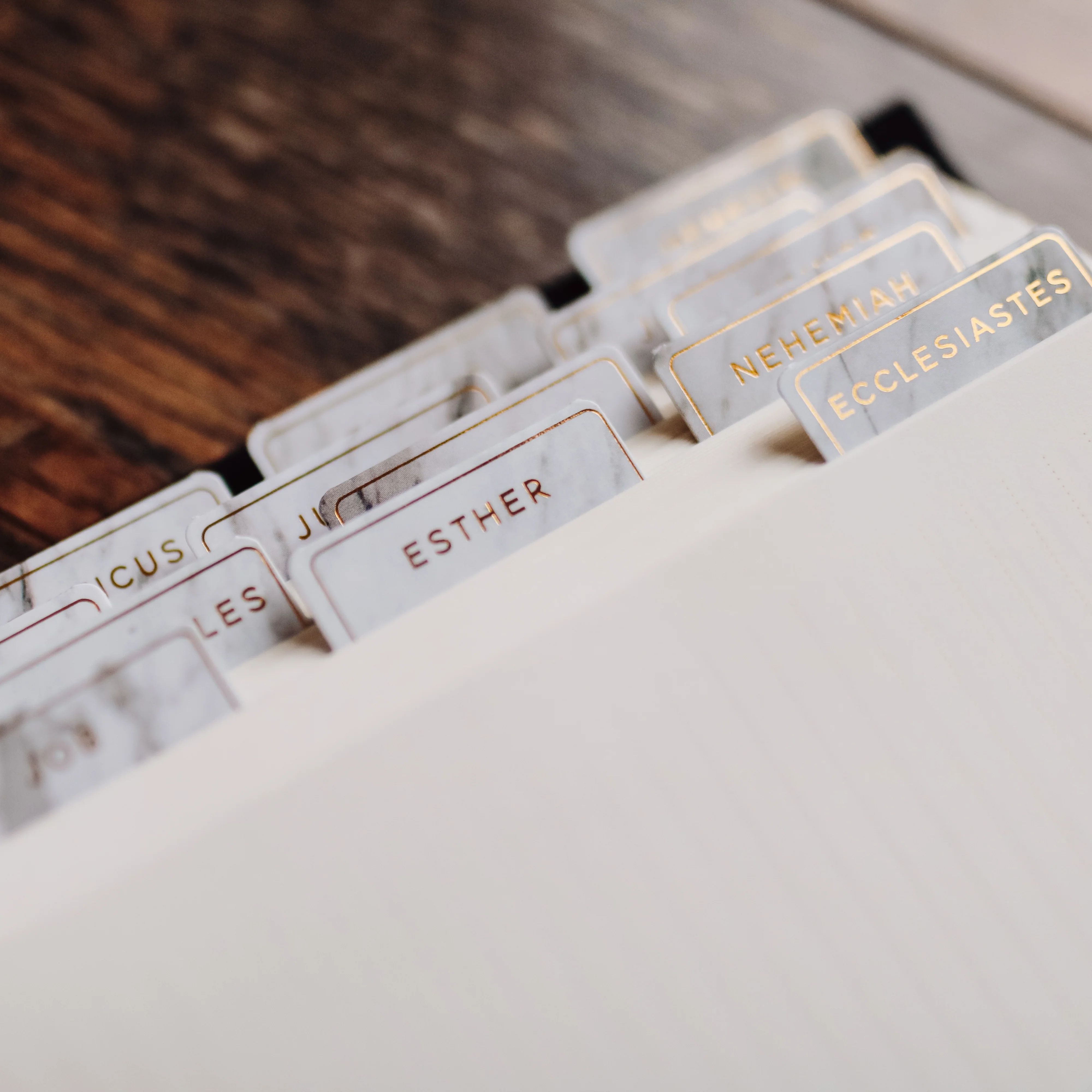 Marble Bible Tabs | The Daily Grace Co.