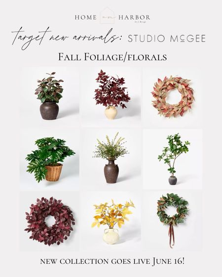 Fall stems & florals from studio McGee now at Target!

#LTKSeasonal #LTKFindsUnder100 #LTKHome