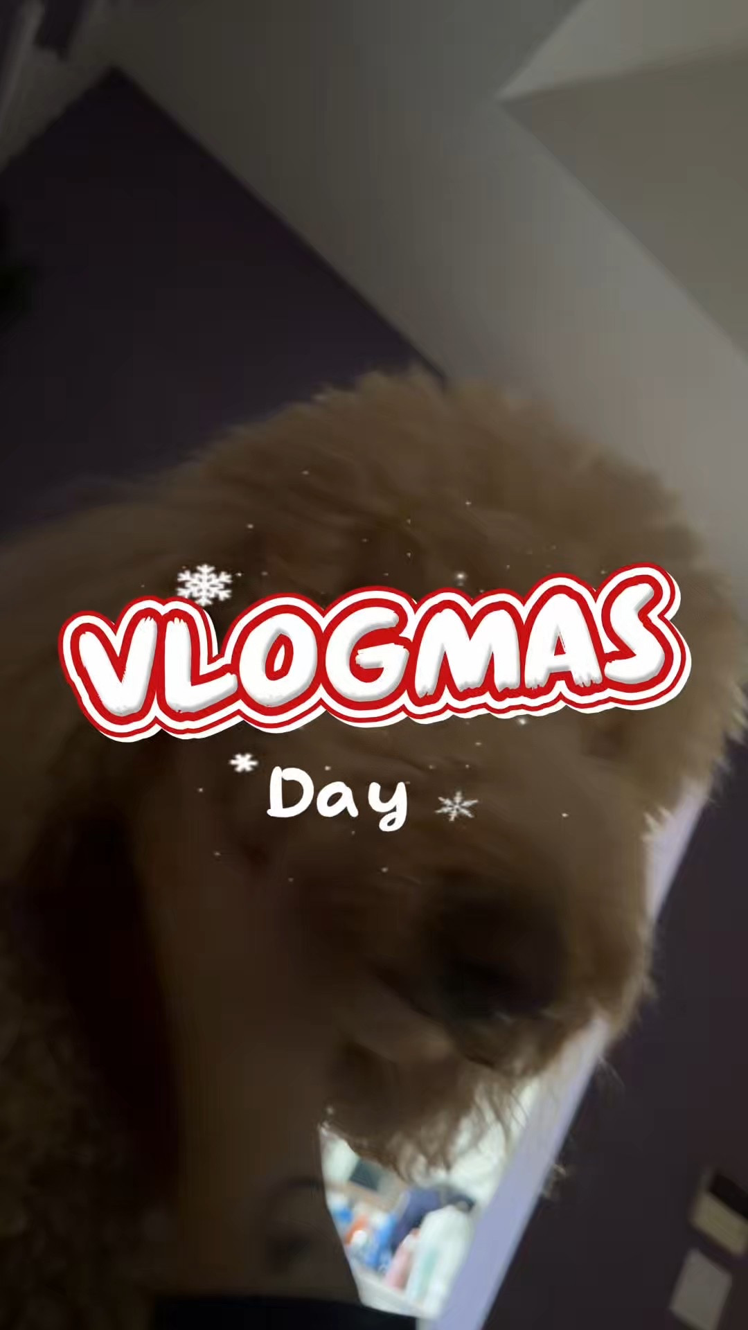 VLOGMAS day 4

#LTKGiftGuide #LTKHoliday #LTKdayinmylife