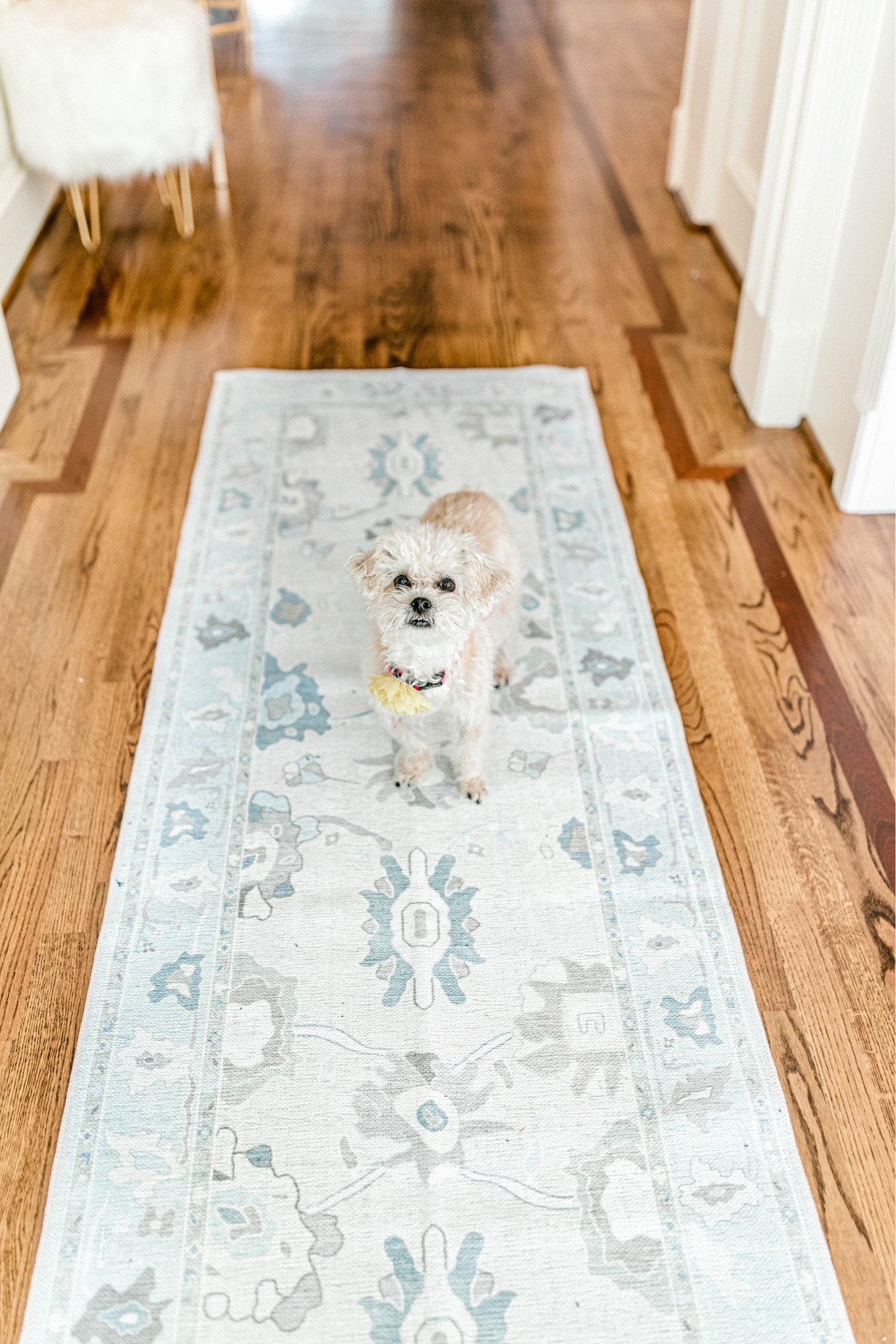 Amazon runner! 

#LTKHome #LTKSaleAlert