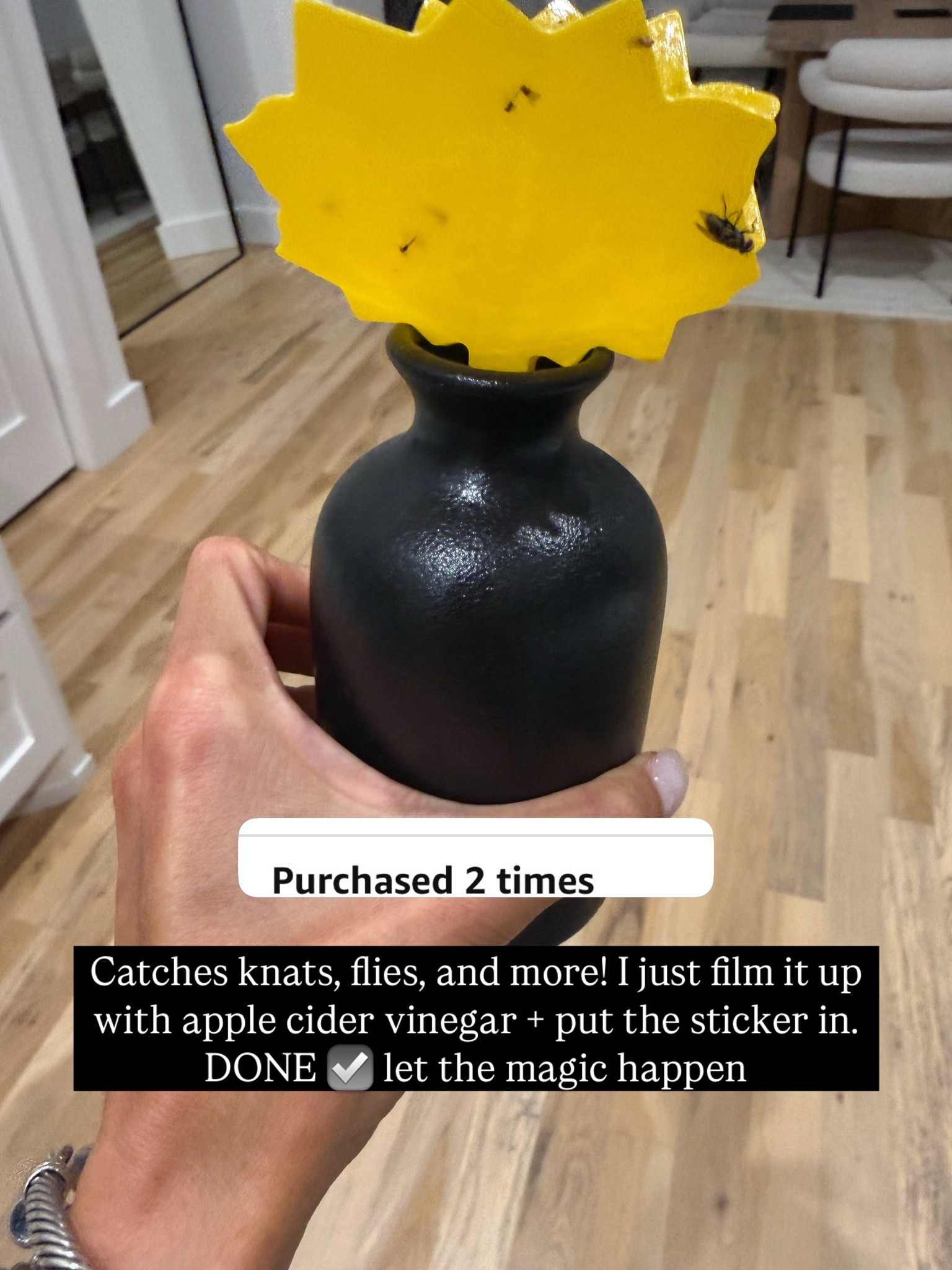 The only thing that works for fruit flies and knats! Even flies just fill with apple cider vinegar

#LTKHome