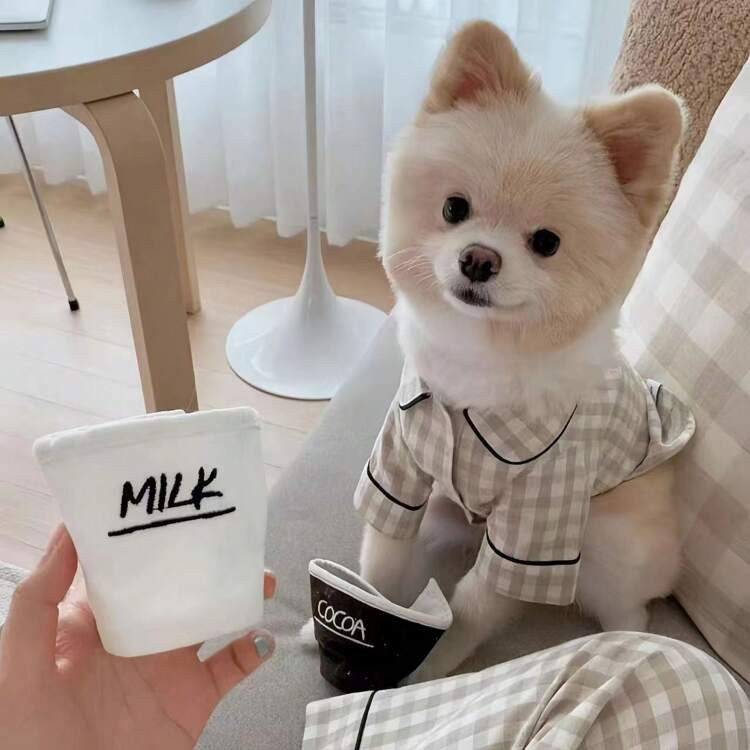 Spring And Autumn Pet Sleepwear, Casual Daily Pet Supplies | SHEIN