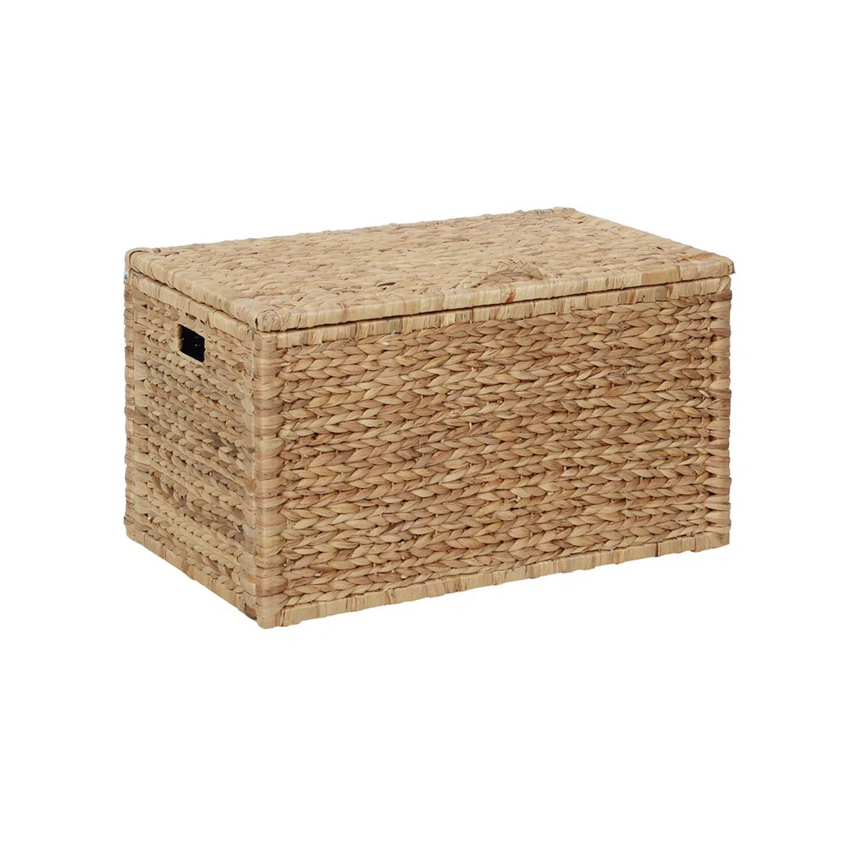 Ved Heavy-duty Water Hyacinth Wicker Storage Trunk with Metal Frame | Wayfair North America