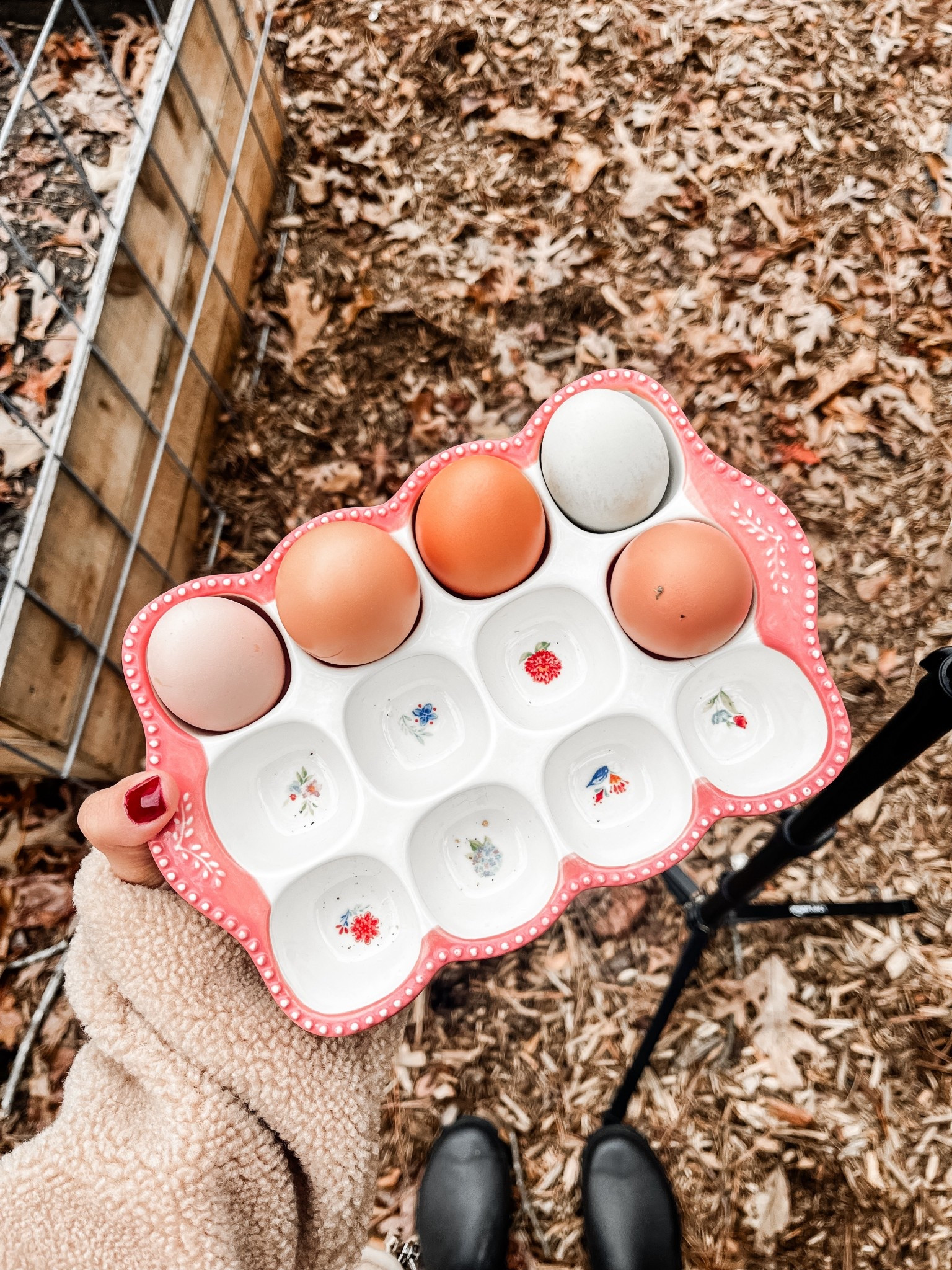 What i use to the eggs i collect!

#LTKFindsUnder100 #LTKFindsUnder50 #LTKHome