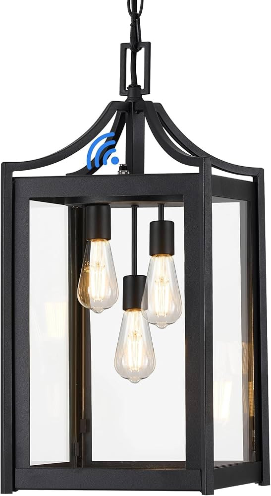 Outdoor Pendant Lights for Porch, 18.5" Large Dusk to Dawn Outdoor Chandelier with Clear Glass, B... | Amazon (US)