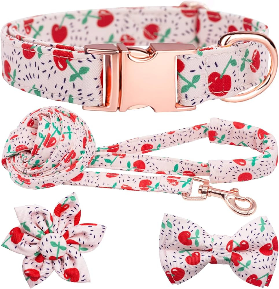 Hilkycton Dog Collar and Leash Set with Flower Bow Tie Girls Dog Collar Dog Tag Metal Buckle Adju... | Amazon (US)