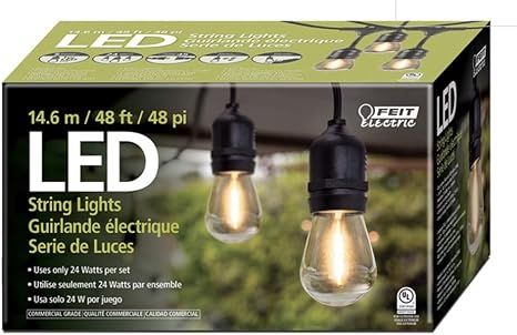 Feit Electric 710090 48ft LED String Light | Amazon (US)