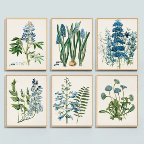 Beyond Blue Framed Print | Ballard Designs, Inc.