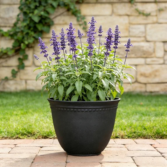 My Texas House 18-Inch Black Asti Recycled Resin Planter | Walmart (US)