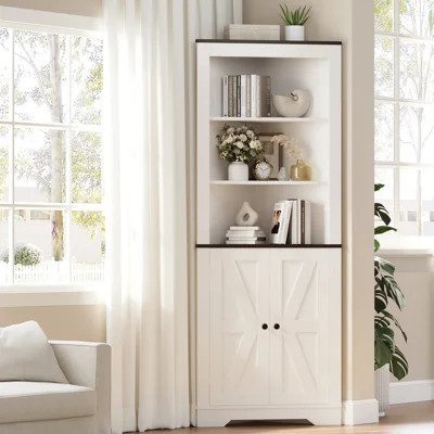 Tall Farmhouse Storage Cabinet with 2 Doors and Adjustable Shelves, Space Saving Corner Cabinet Barn Door Style for Living Room, Kitchen | Wayfair North America