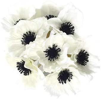 Floral Kingdom 8 pcs Real Touch Anemone Poppy Bouquet for Artificial Flower Decor (White) | Amazon (US)