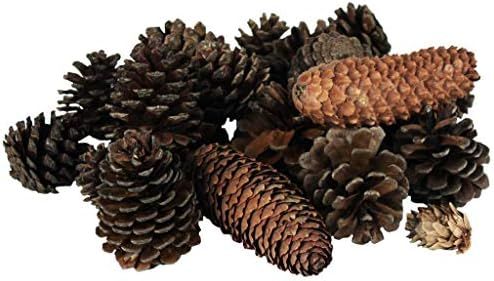 Vita Domi Natural Brown Premium Bag of Pine Cones Assortment 120 Pieces Per Bag (Assorted Sizes) | Amazon (CA)