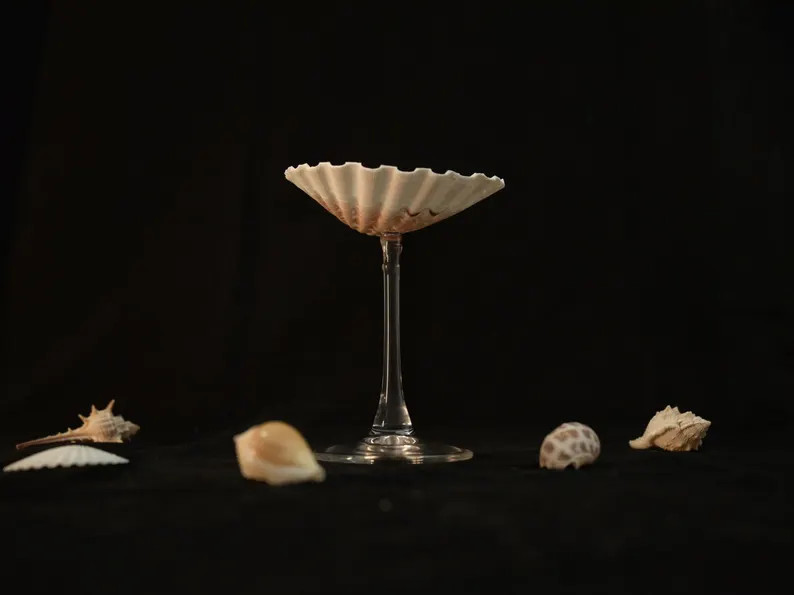 Shell Martini Glasses, Shell Wine Glasses, Cocktail Glasses, Decorative Shell Goblets, Shell Gobl... | Etsy (US)