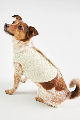 monchéri Quilted Floral Dog Vest | Anthropologie (US)
