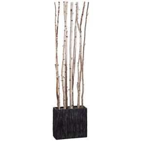Faux Potted Birch Tree Divider | West Elm (US)